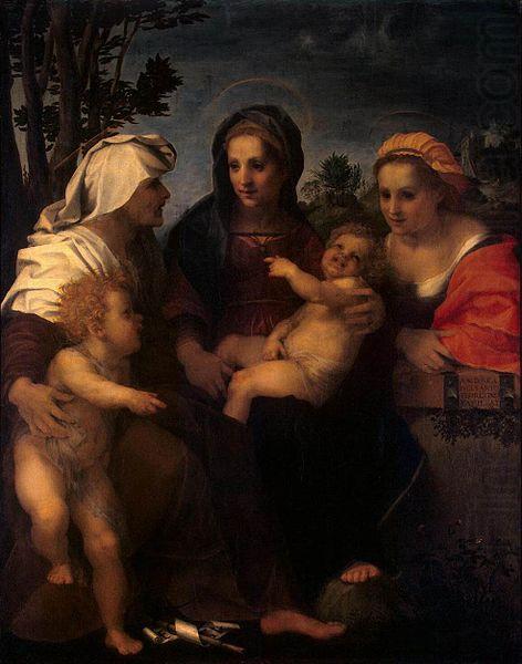 Andrea del Sarto Elisabeth and John the Baptist china oil painting image